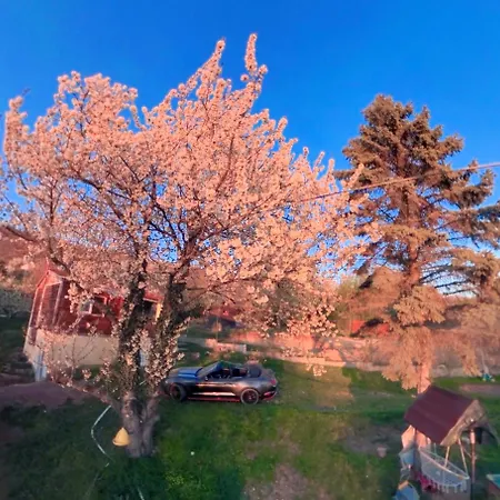 Lodge Nyari Huvoes Telen Hofoedte Hegyi Panoramas Csillagos Haz *