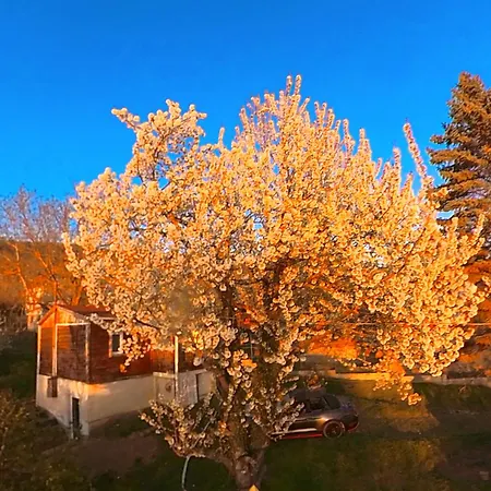 Lodge Nyari Huvoes Telen Hofoedte Hegyi Panoramas Csillagos Haz