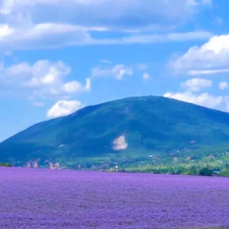 Nyari Huvoes Telen Hofoedte Hegyi Panoramas Csillagos Haz Pilisszanto