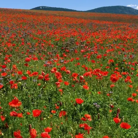 Lodge Nyari Huvoes Telen Hofoedte Hegyi Panoramas Csillagos Haz *
