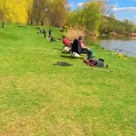 Hegyi Panorámás Csillagos Ház Alojamento de Turismo Selvagem *